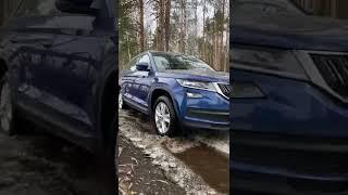 Прокат авто Skoda Kodiaq. Посуточная аренда