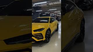 Lamborghini Urus +8210 6613 3777 эксперт авто из Кореи #ламбо #урус #автосалон #автомобиль #салон