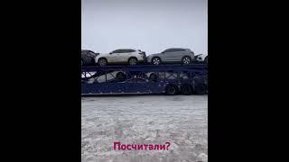 Сколько автомобилей в прицепе? #авто #автоподзаказ #автомобилиизяпонии