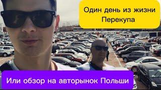 Какие автомобили можно купить в Польше? - цены и обзор авто рынка