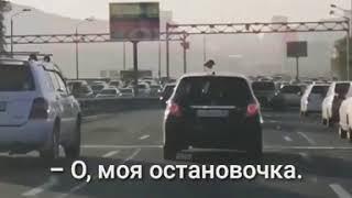 DEITA.RU Странный пассажир замечен на крыше авто во Владивостоке