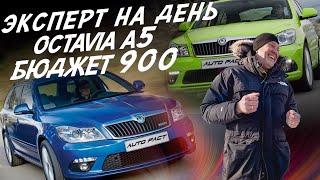 ЭКСПЕРТ НА ДЕНЬ! БЮДЖЕТ 900т.р. SKODA OCTAVIA A5! АВТОПОДБОР AUTOFACT!