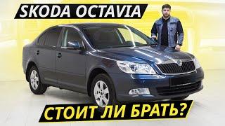 Что осталось от былой надёжности? Skoda Octavia A5 | Подержанные автомобили