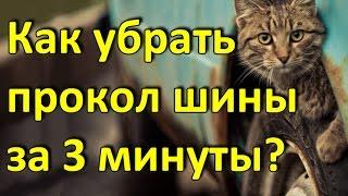 купить авто в ростовской области