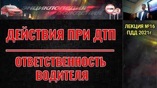 ЛЕКЦИЯ ПДД 2022г. Действия при ДТП.  Ответственность водителя. (#ЭнциклопедияВождения)