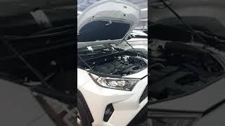 Где находится номер двигателя автомобиля Тойота Рав 4. Toyota Rav 4 Объем мотора 2.0. 2020 год A25A