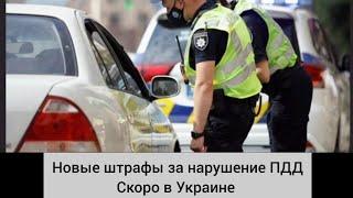 Новые штрафы в Украине за нарушение ПДД при использовании номерного знака на авто