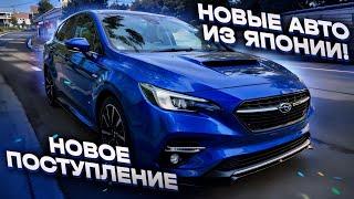 Новинки из Японии! Авто для лета! Обзор стоянки