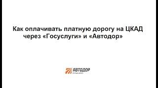 Как оплачивать платную дорогу на ЦКАД через «Госуслуги» и «Автодор» - избежать штрафа в 1500 рублей