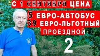 39 евро стоит льготный проездной билет в городской автобус в Германии на сентябрь 2022.