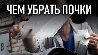 Как отмыть и чем убрать ТОПОЛИНЫЕ почки с кузова машины | Бонусы под видео