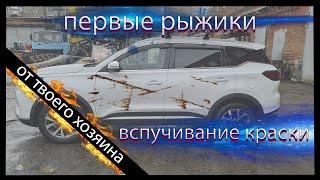 Chery Tiggo 7 Pro Вспучивание краски  / Автомобиль гниет после полутора месяцев эксплуатации