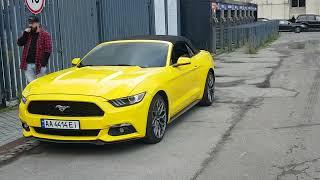 Ford Mustang желтый кабриолет  прокат аренда авто с водителем без водителя форд мустанг