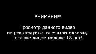 Тульская область. Стоявшего у своей машины водителя сбило авто.