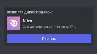 Легчайшее Discord Nitro (150,000 IQ)