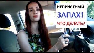 Как убрать неприятный запах в авто? Советы специалистов