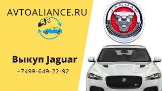 Выкуп автомобилей Jaguar - Avtoaliance.ru