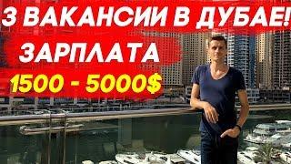 ПРЕДЛАГАЕМ РАБОТУ В ДУБАЕ! 3 ВАКАНСИИ! ЗАРПЛАТА ОТ 1500 - 5000$