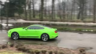 Ford Mustang GT салатовый прокат аренда авто с водителем без водителя в Киеве