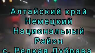 Авто ёлка Алтайский край немецкий район Редкая Дубрава