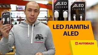 Замена ламп в авто. LED лампы Aled. Ярче чем лампы накаливания?